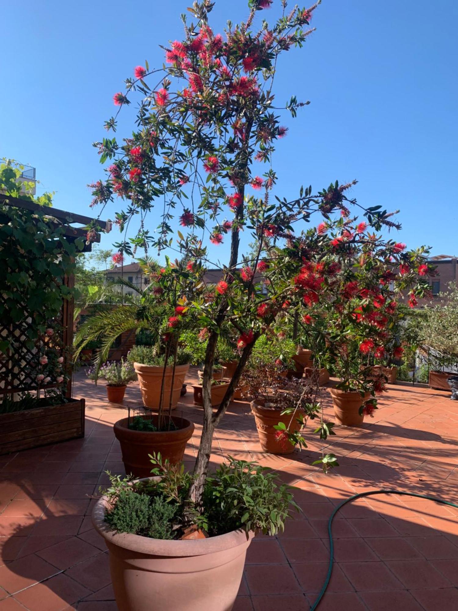 Apartament La Terrazza Da Ernestina Lukka Zewnętrze zdjęcie